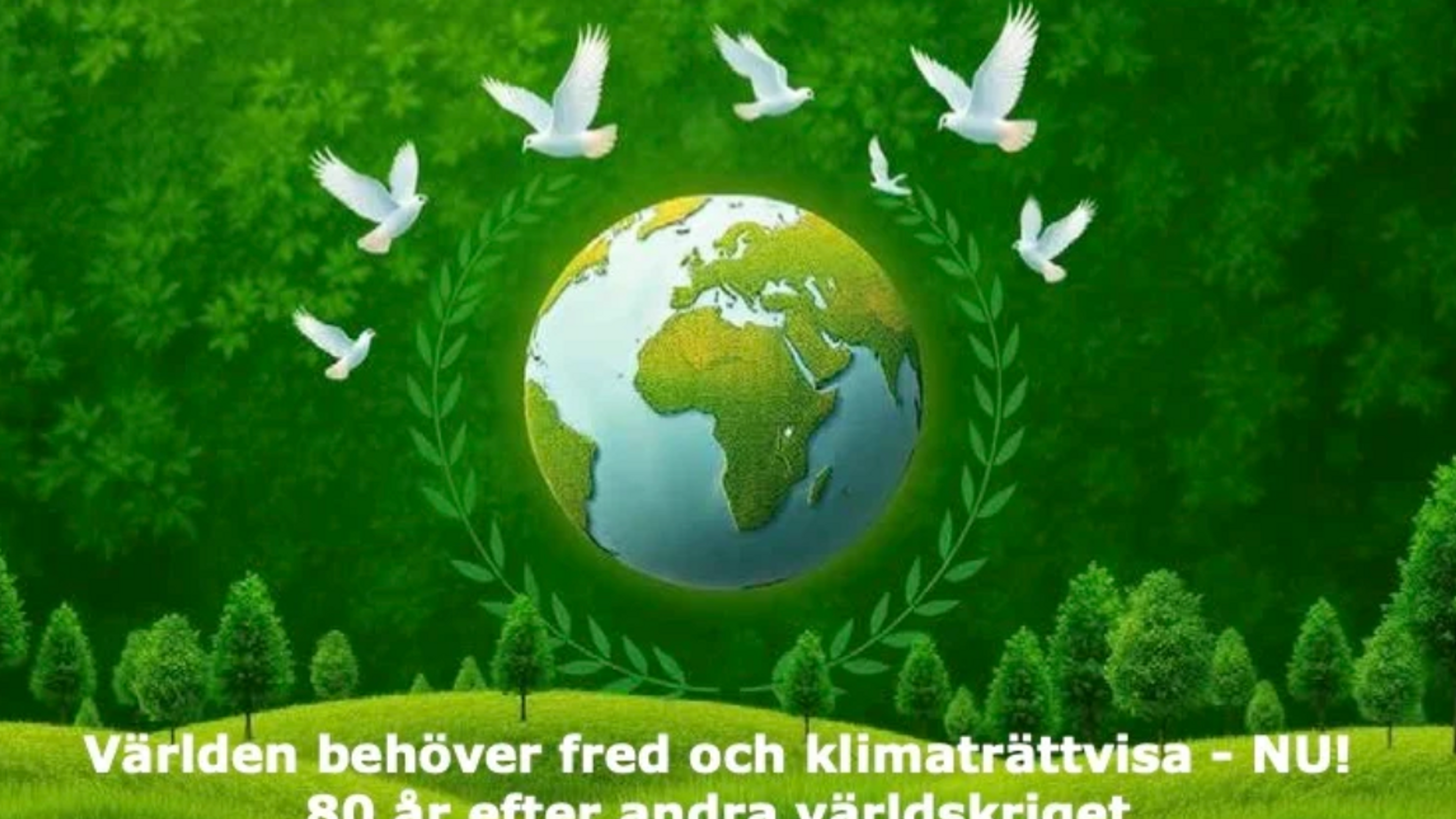Alla videoklipp